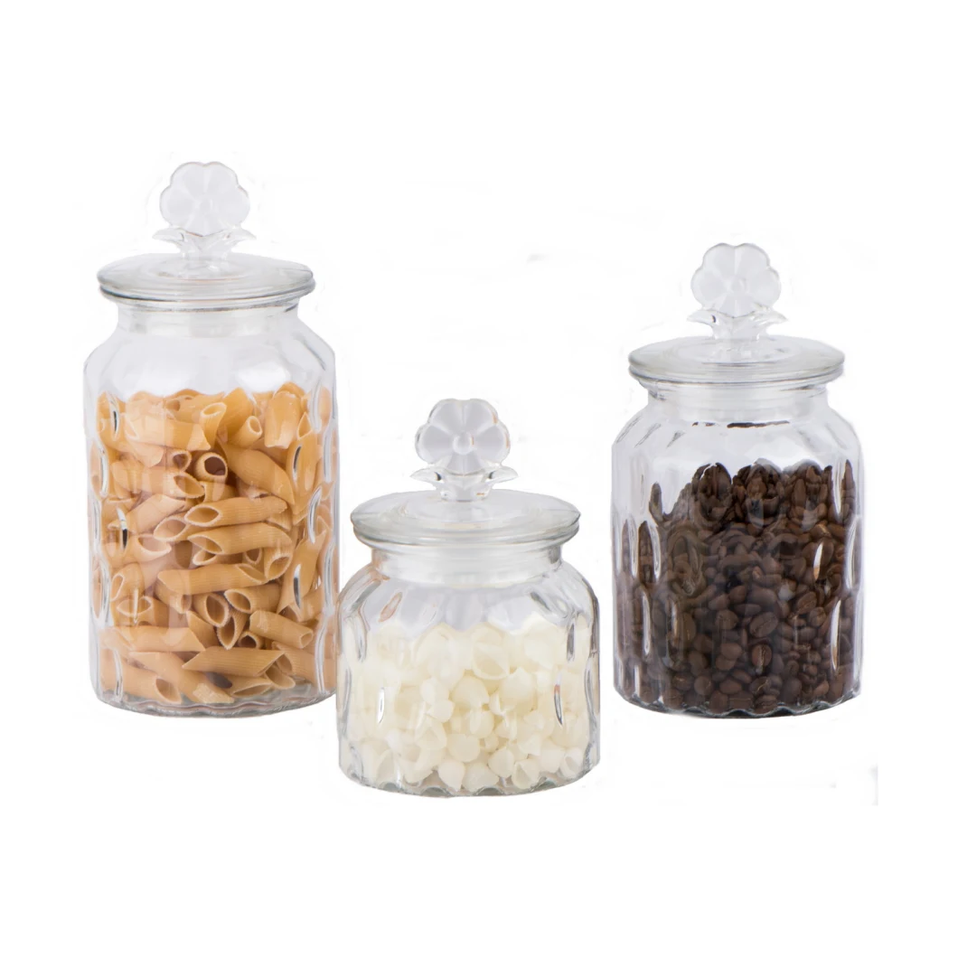 Embossed Glass Food Storage Canister/Glass Jar/Glass Bottle/Glassware/Food Jar/Glass Candy Jar with Glass Lid