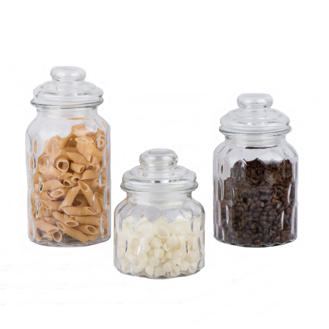 Embossed Glass Food Storage Canister/Glass Jar/Glass Bottle/Glassware/Food Jar/Glass Candy Jar with Glass Lid